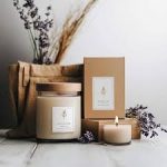 Elevate Your Experience: Discover the Charm of CBD Boxes! 📦✨